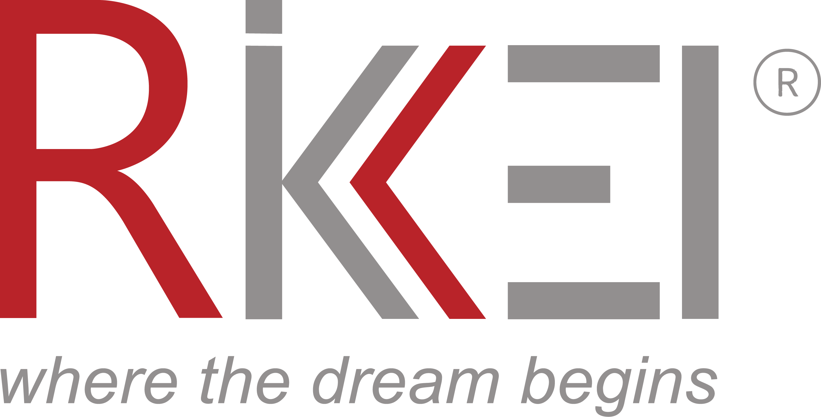 Rikkeisoft logo